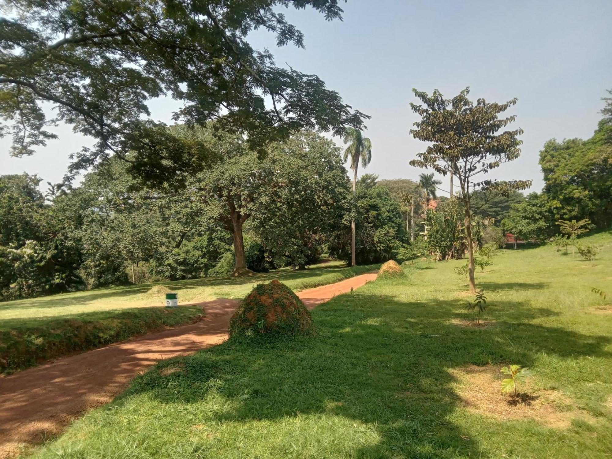 Mowicribs Hotel And Spa Entebbe Room photo